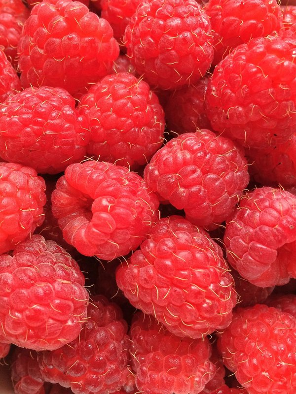 Choisir le meilleur kit cocktail qualité pour vos soirées